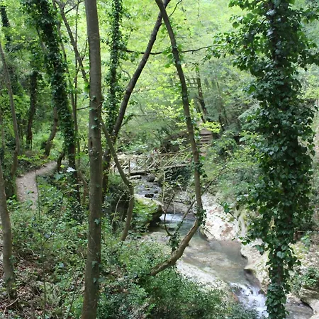Otel Arimannia