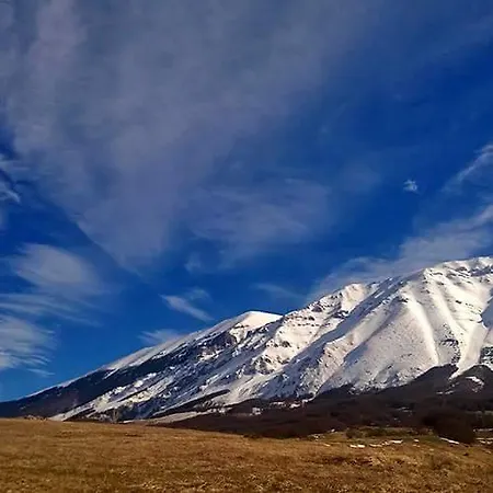 Отель Arimannia