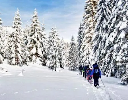 Отель Arimannia 3*