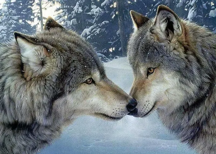 فندق Arimannia كارامانيكو تيرمي