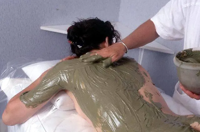 فندق Arimannia 3*