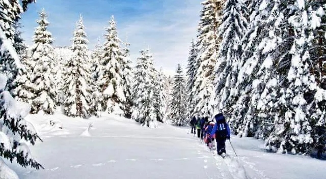 Szálloda Arimannia 3*